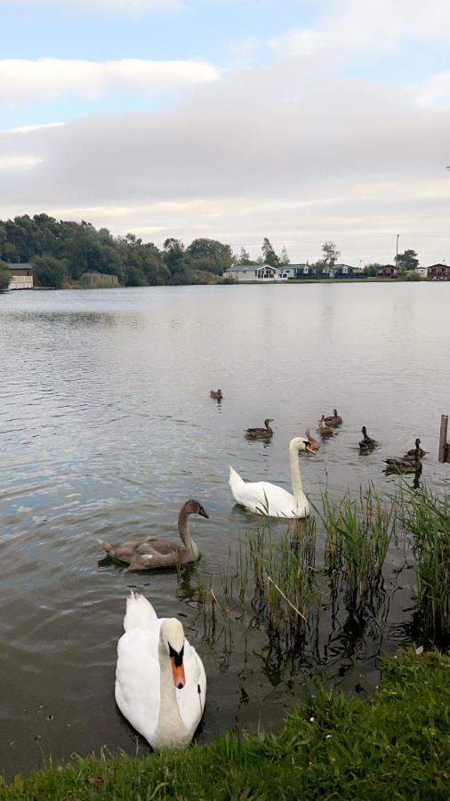 Widgeon Bespoke Cabin Is Lakeside With Private Fishing Peg, Hot Tub Situated At Tattershall Lakes Country Park ภายนอก รูปภาพ